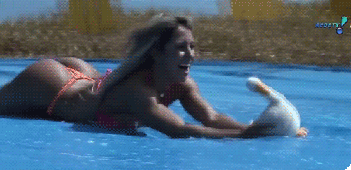 pornGIF.xxx - 