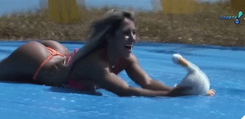 pornGIF.xxx - 