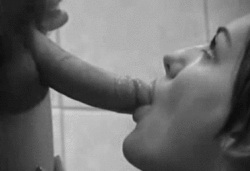 pornGIF.xxx - Blowjob