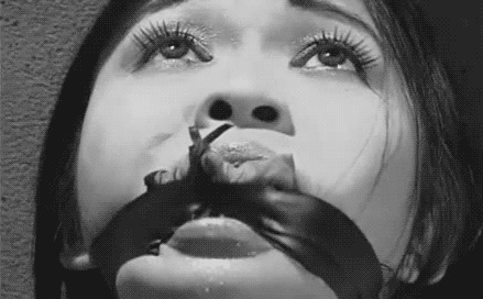 pornGIF.xxx - 