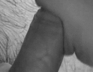pornGIF.xxx - 