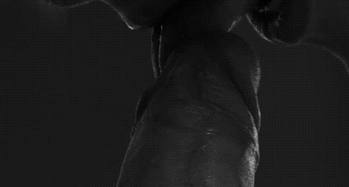 pornGIF.xxx - 