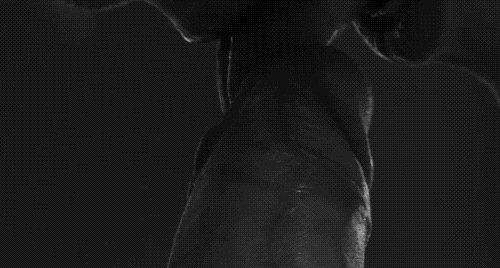 pornGIF.xxx - 