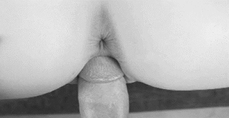 pornGIF.xxx - 