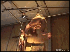 pornGIF.xxx - 