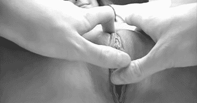 pornGIF.xxx - 
