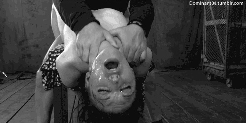 pornGIF.xxx - 