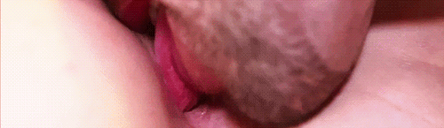 pornGIF.xxx - 