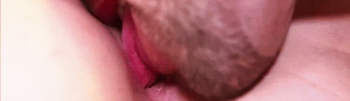 pornGIF.xxx - 