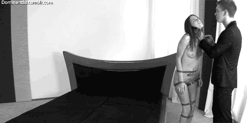 pornGIF.xxx - 