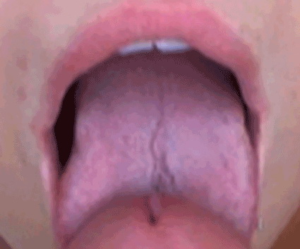 pornGIF.xxx - 