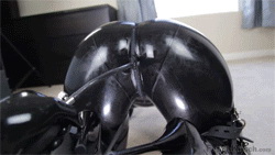 pornGIF.xxx - 