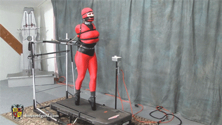 pornGIF.xxx - 