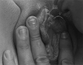 pornGIF.xxx - 