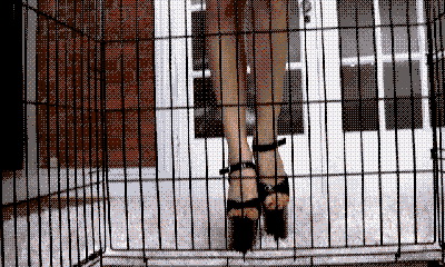 pornGIF.xxx - 