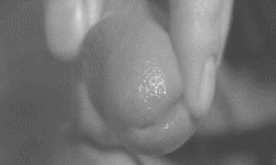 pornGIF.xxx - 