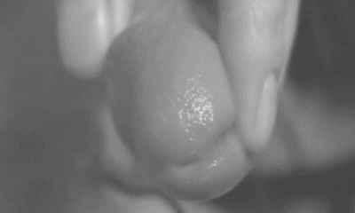 pornGIF.xxx - 