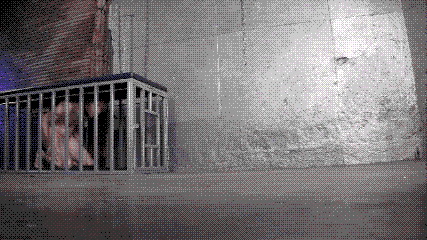 pornGIF.xxx - 
