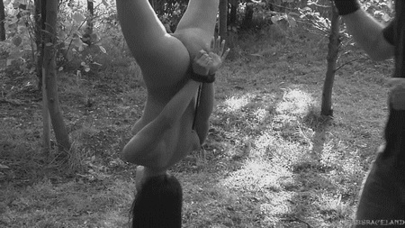 pornGIF.xxx - 
