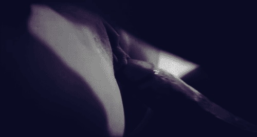 pornGIF.xxx - 