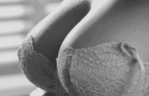 pornGIF.xxx - 