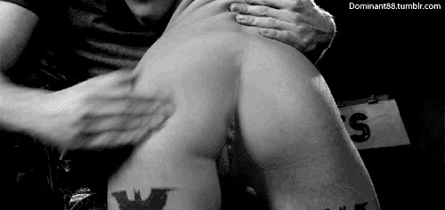pornGIF.xxx - 