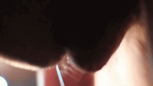 pornGIF.xxx - 