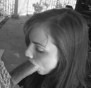 pornGIF.xxx - Blowjob